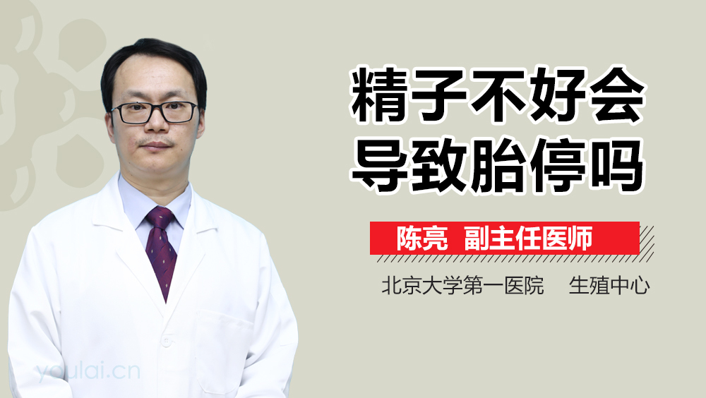 精子不好会导致胎停吗