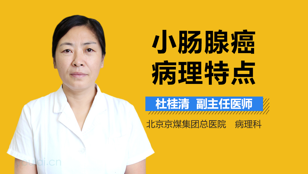 小肠腺癌病理特点