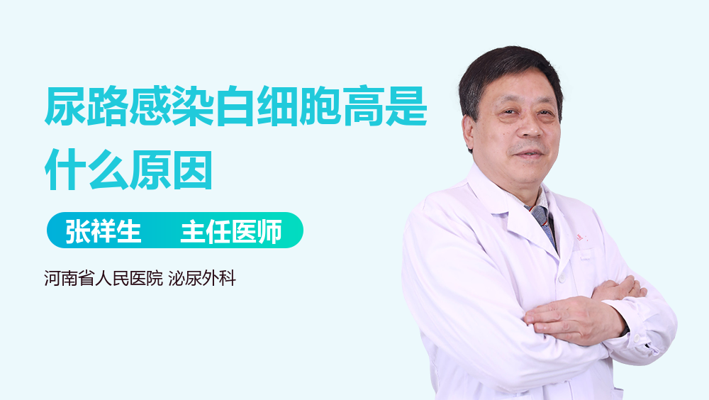 尿路感染白细胞高是什么原因