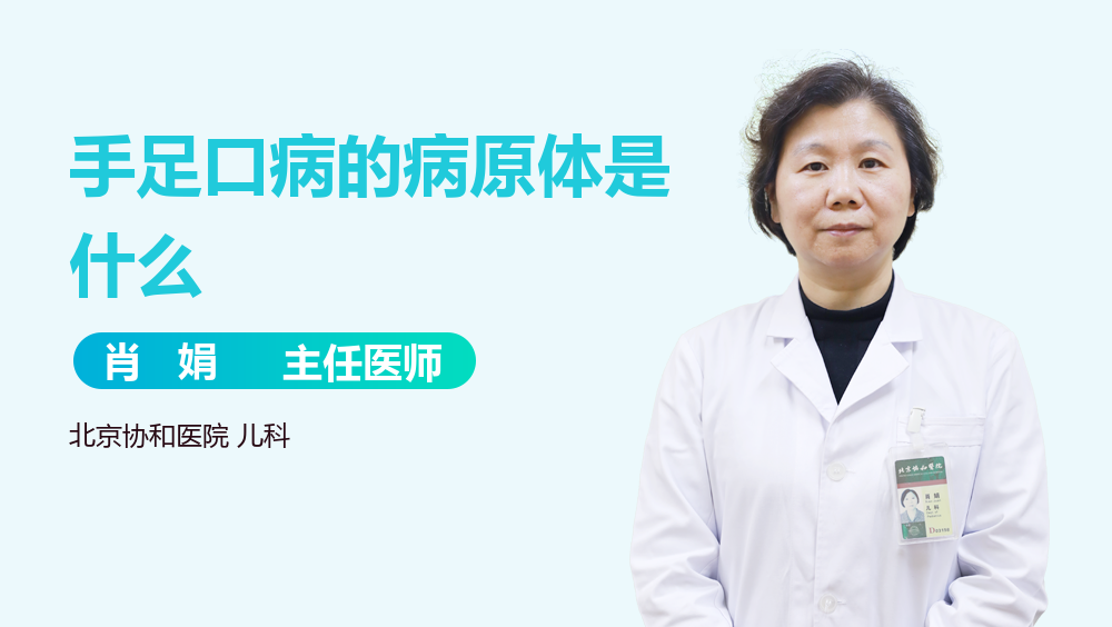 手足口病的病原体是什么