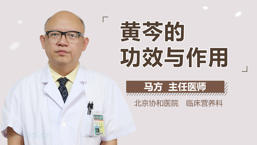 黄芩的功效与作用