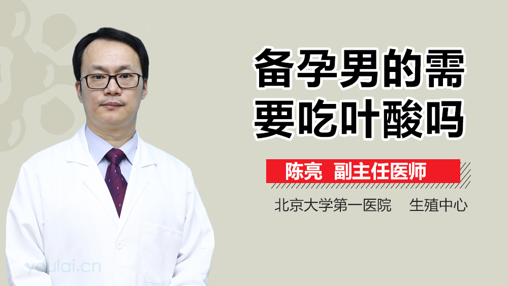 备孕男的需要吃叶酸吗