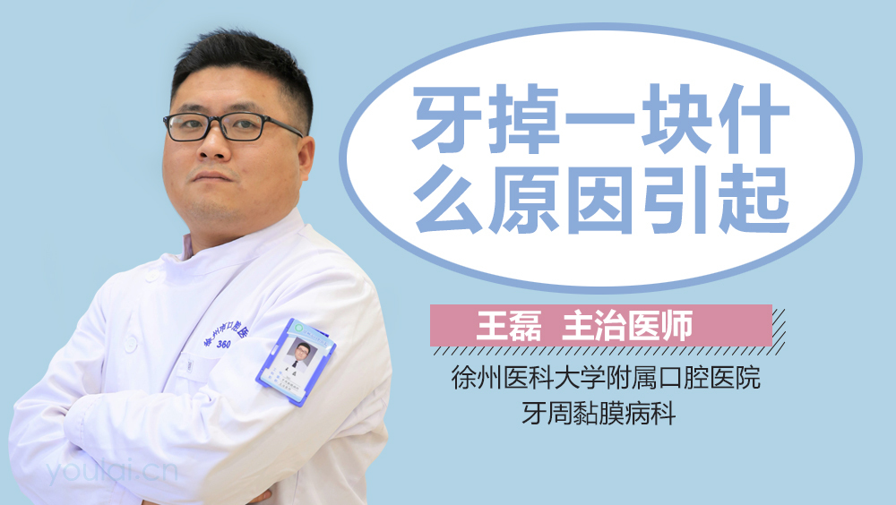 牙掉一块什么原因引起