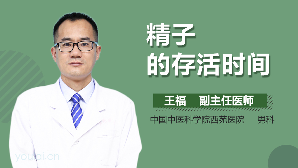 精子的存活时间