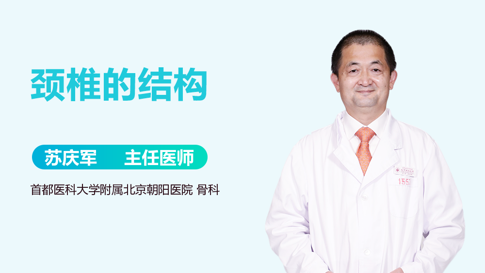 颈椎的结构