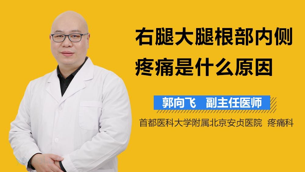 右腿大腿根部内侧疼痛是什么原因