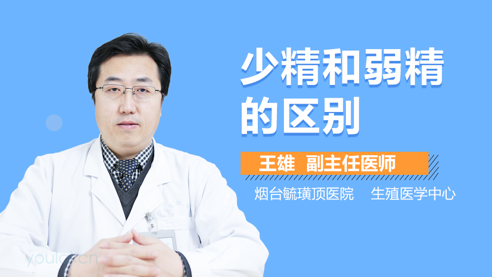 少精和弱精的区别