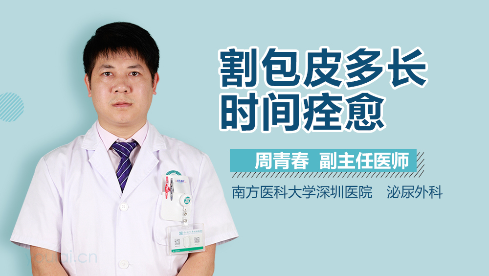 割包皮多长时间痊愈