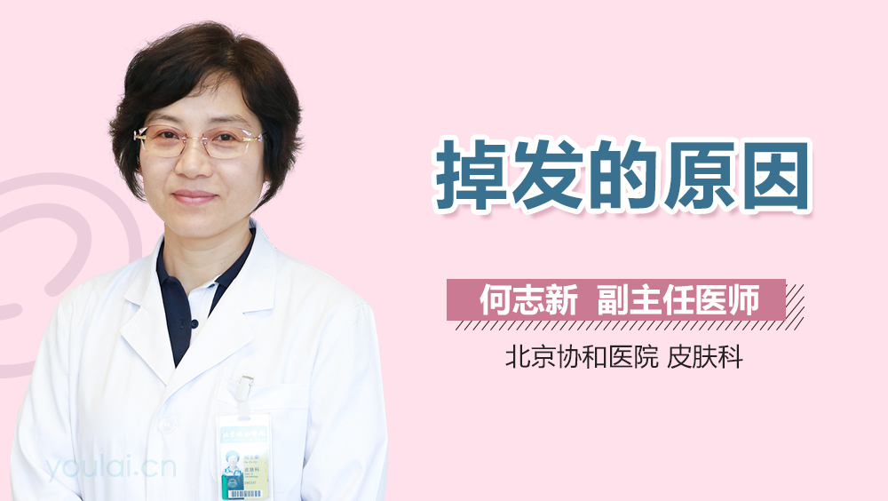 掉发的原因