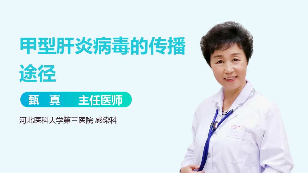 甲型肝炎病毒的传播途径