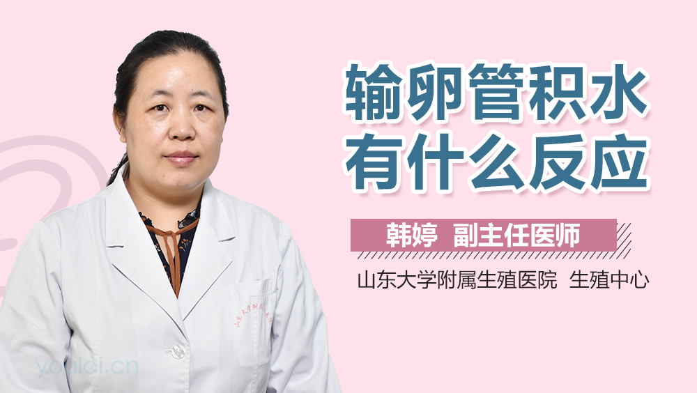 输卵管积水有什么反应