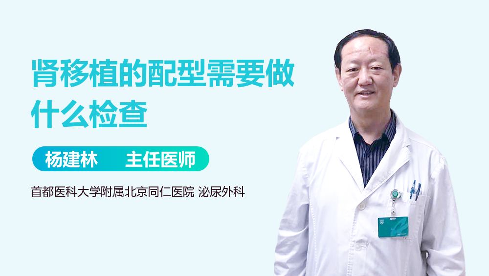 肾移植的配型需要做什么检查