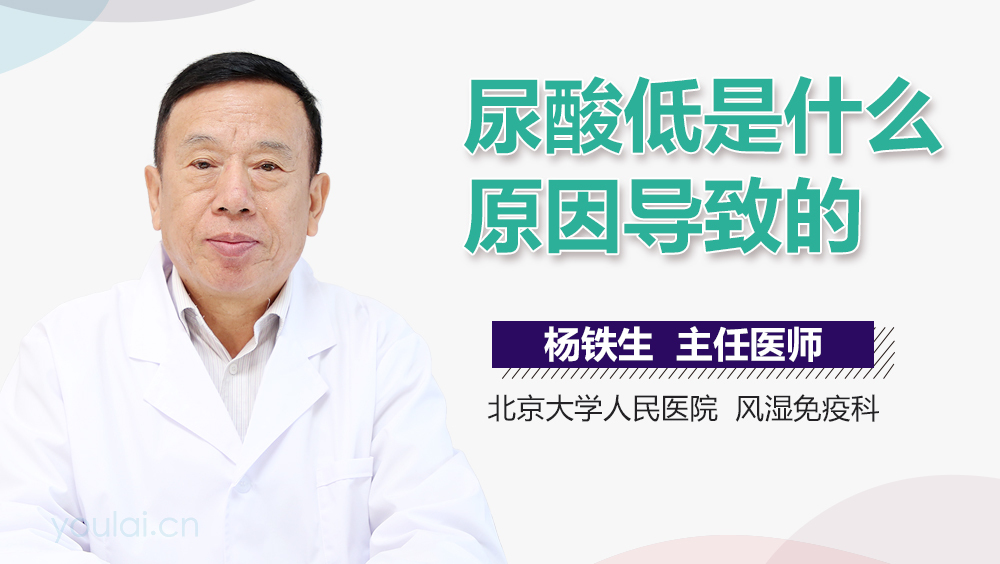 尿酸低是什么原因导致的