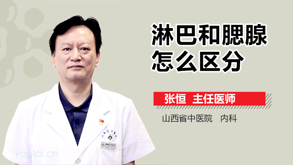 淋巴和腮腺怎么区分