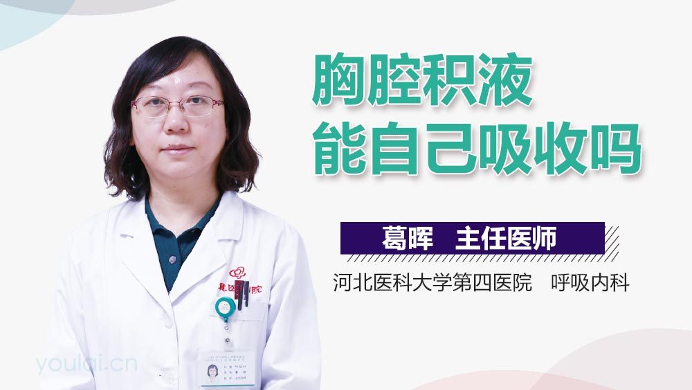 胸腔积液能自己吸收吗