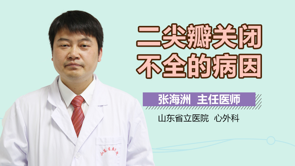 二尖瓣关闭不全的病因