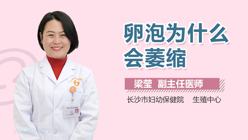 卵泡为什么会萎缩