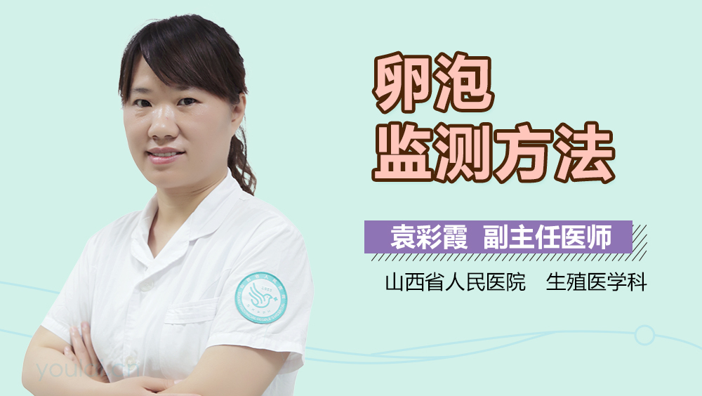 卵泡监测方法