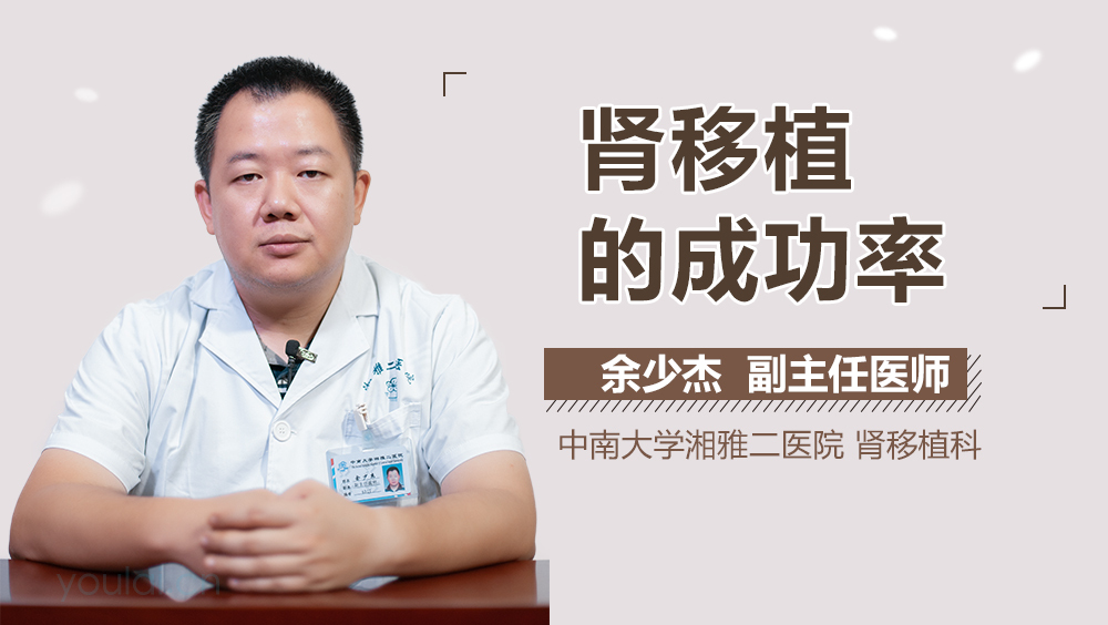 肾移植的成功率