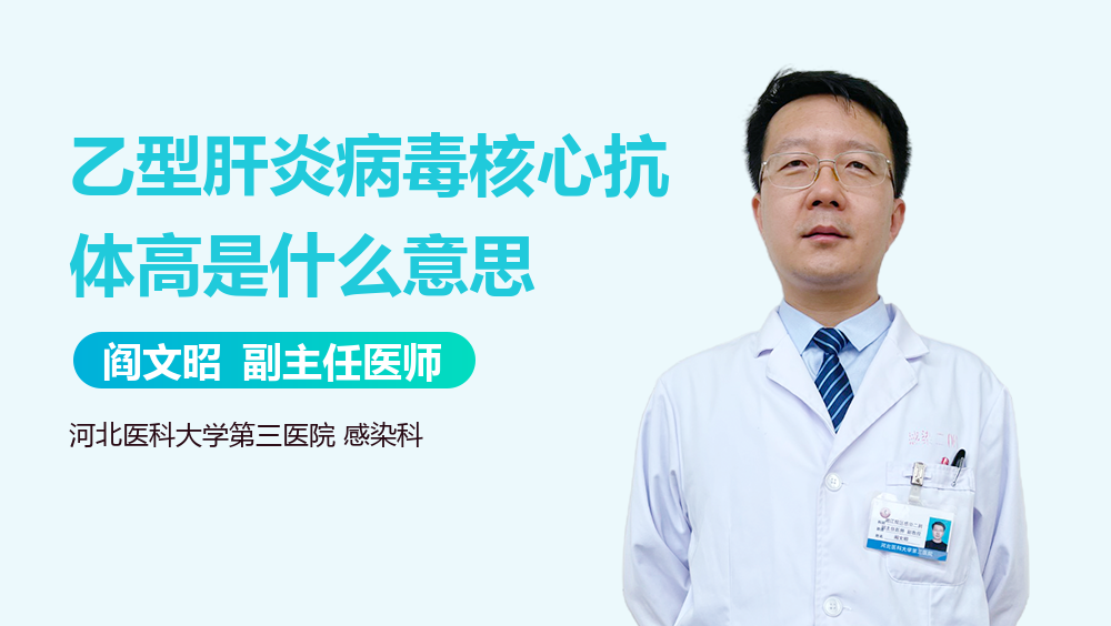 乙型肝炎病毒核心抗体高是什么意思