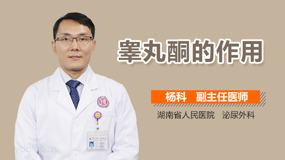 睾丸酮的作用