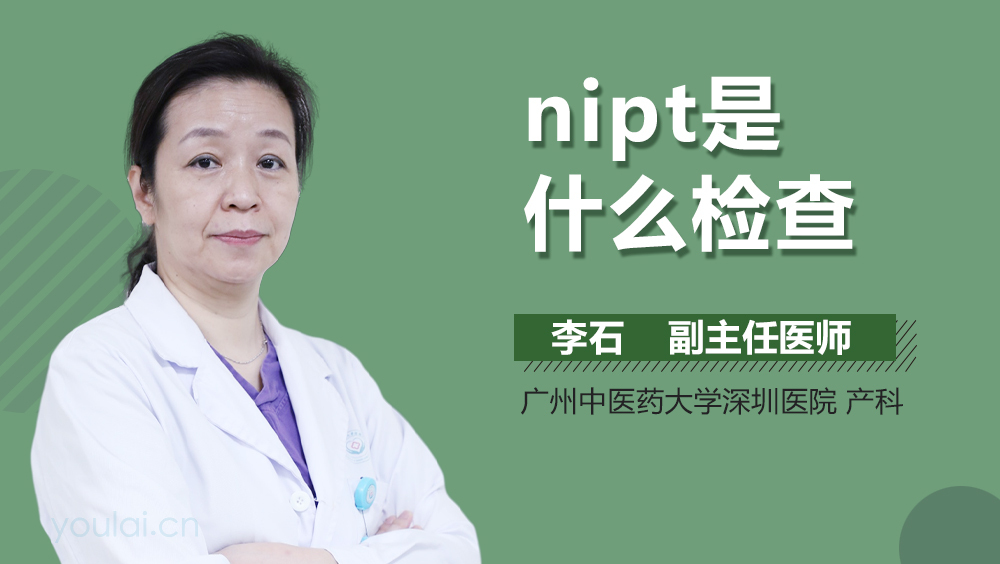 nipt是什么检查