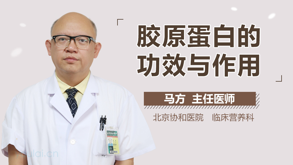 胶原蛋白的功效与作用