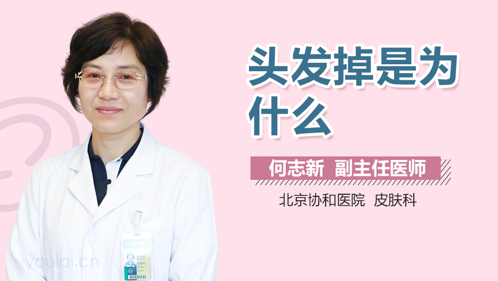 头发掉是为什么
