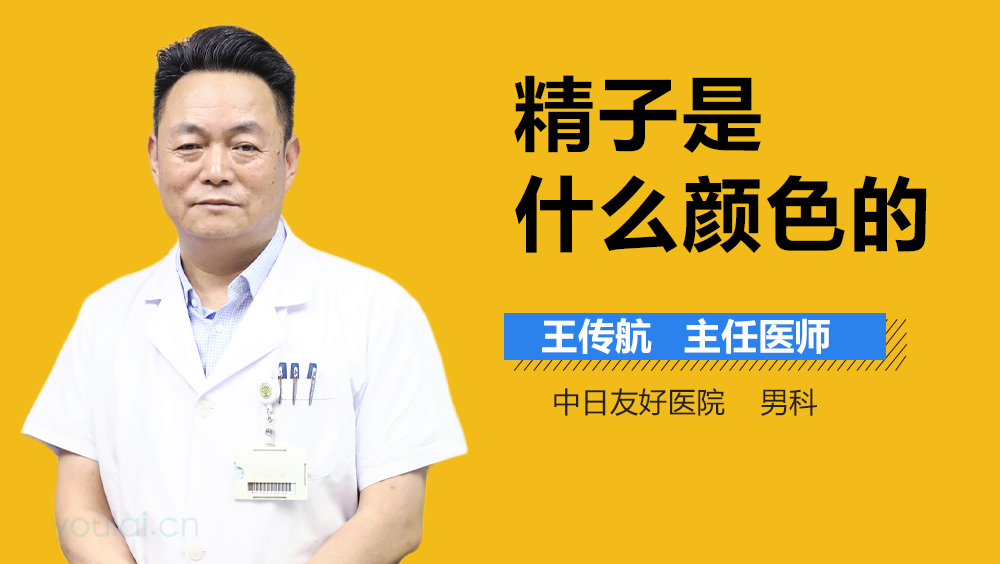 精子是什么颜色的