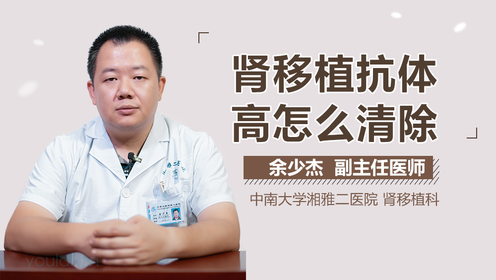 肾移植抗体高怎么清除
