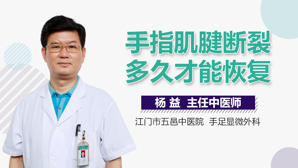 手指肌腱断裂多久才能恢复