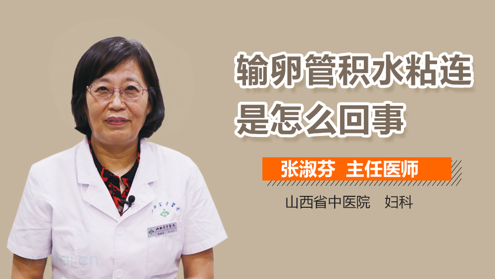 输卵管积水粘连是怎么回事