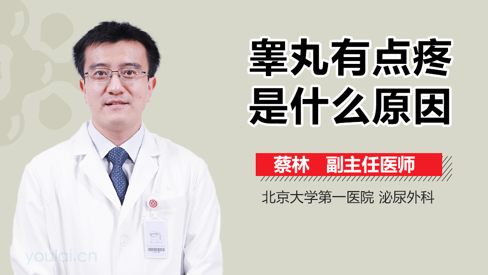 睾丸有点疼是什么原因
