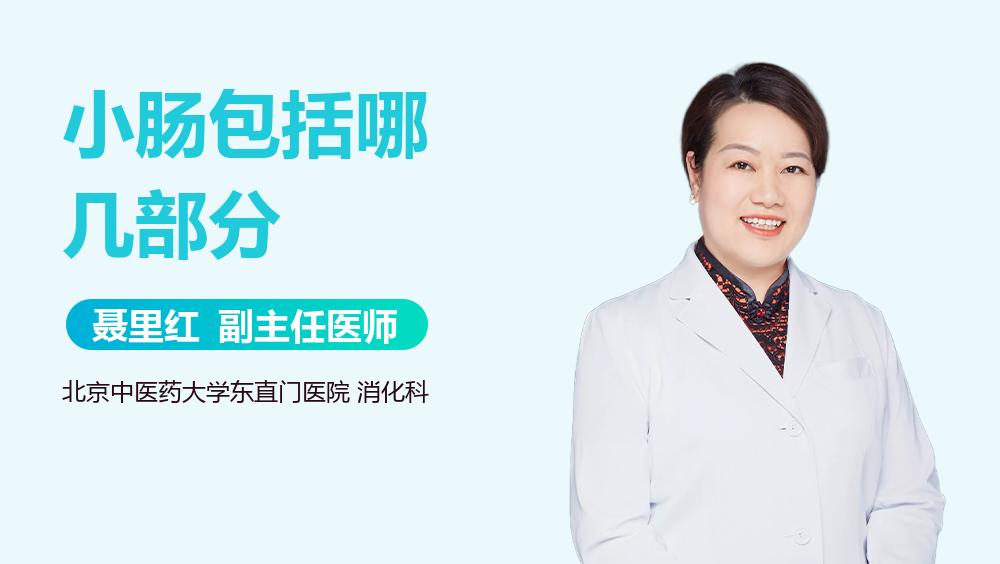 小肠包括哪几部分