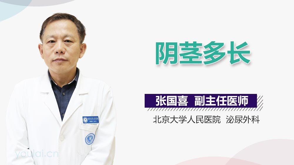 阴茎多长