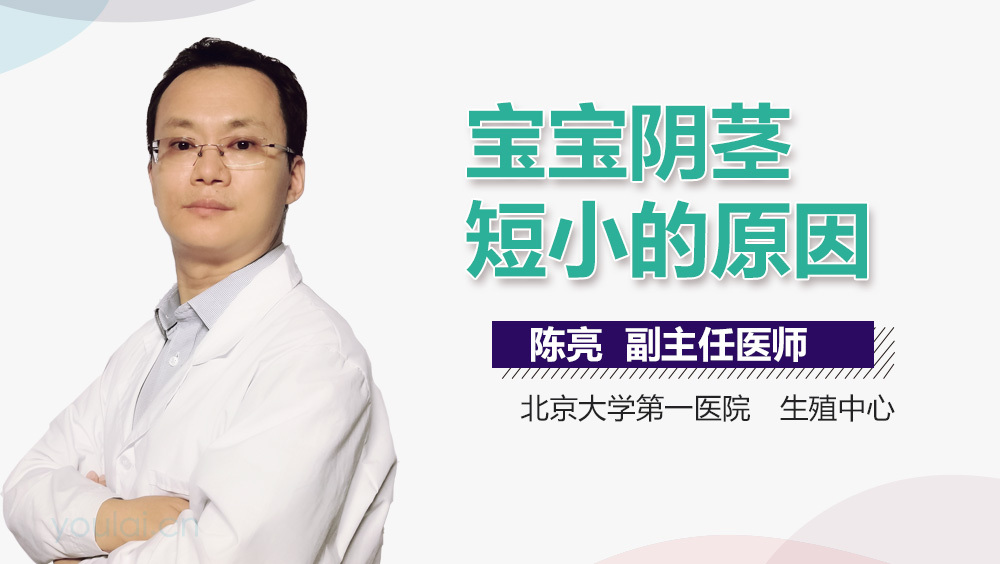 宝宝阴茎短小的原因