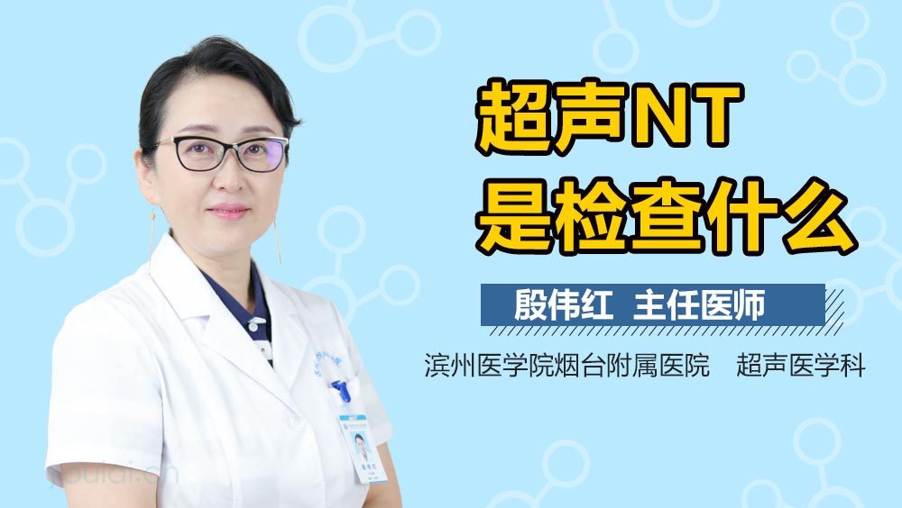 超声NT是检查什么