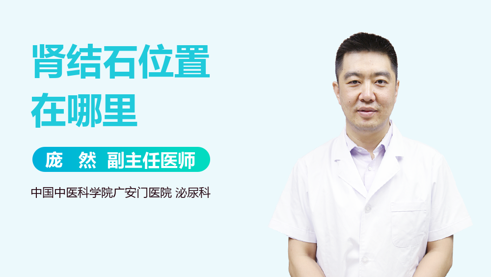 肾结石位置在哪里