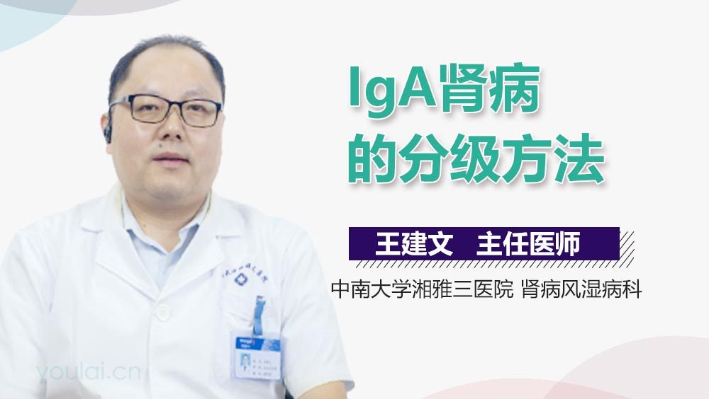 IgA肾病的分级方法