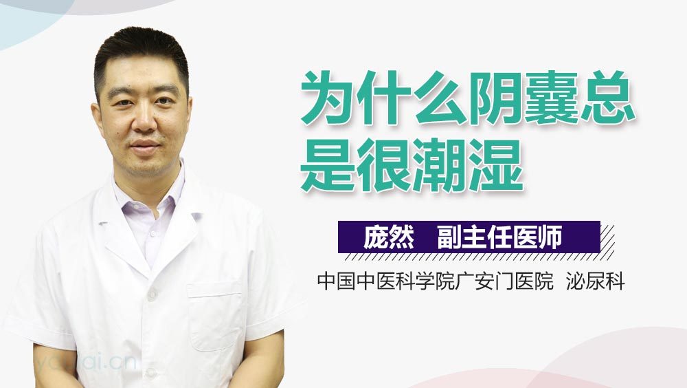 为什么阴囊总是很潮湿