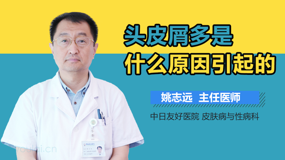 头皮屑多是什么原因引起的
