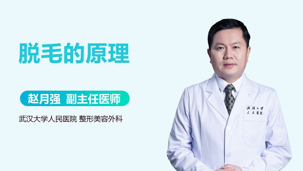 脱毛的原理