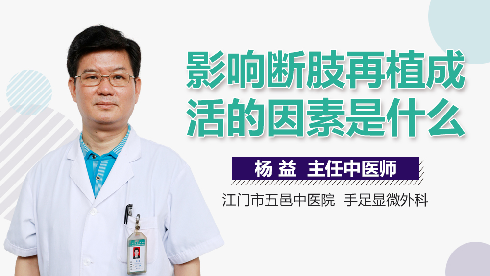影响断肢再植成活的因素是什么