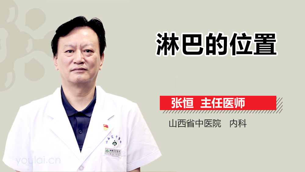 淋巴的位置