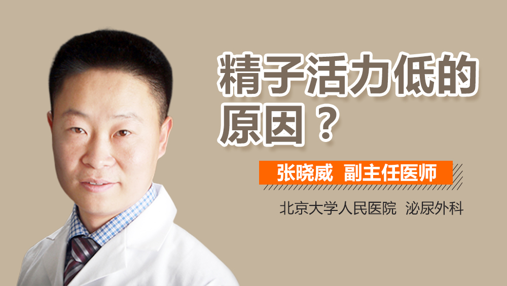 精子活力低的原因
