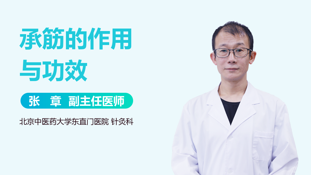 承筋的作用与功效