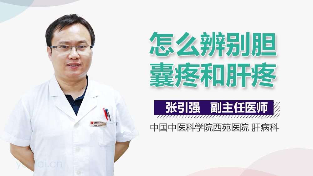 怎么辨别胆囊疼和肝疼