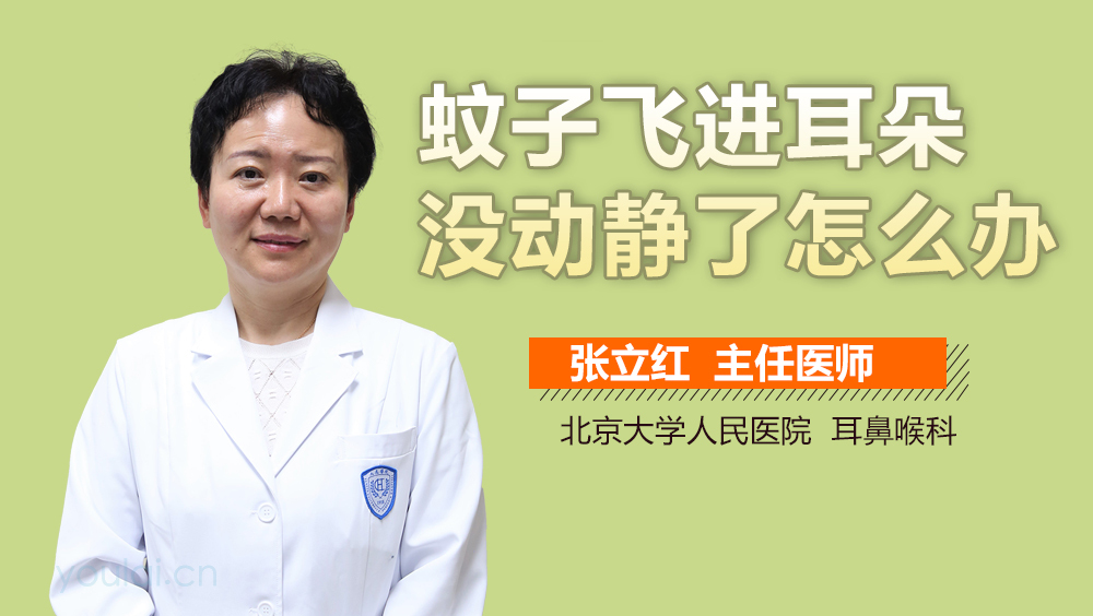 蚊子飞进耳朵没动静了怎么办