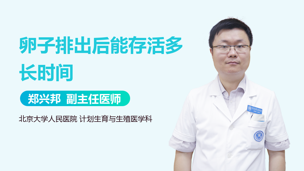 卵子排出后能存活多长时间