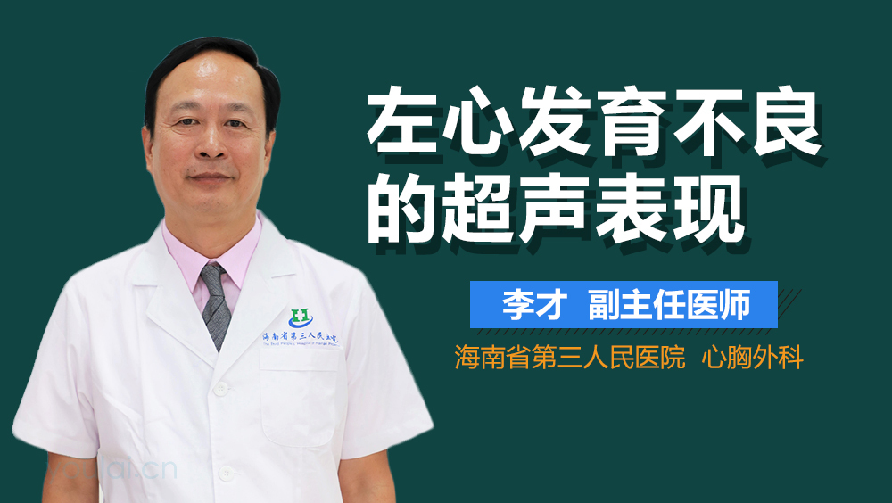 左心发育不良的超声表现